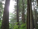 2006-08-11 Sitka, AK 15