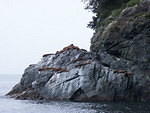 2006-08-16 aboard the Lu-Lu Belle Valdez, AK 094