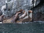 2006-08-16 aboard the Lu-Lu Belle Valdez, AK 100