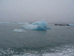2006-08-16 aboard the Lu-Lu Belle Valdez, AK 153