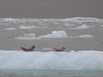 2006-08-16 aboard the Lu-Lu Belle Valdez, AK 175