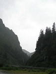 2006-08-19 Along the  Richardson Highway, AK 05