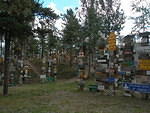 2006-08-25 Sign Post Forest, Watson Lake, BC, Canada 19