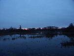 15 -New Years trip-Okefenokee