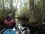 23 -New Years trip-Okefenokee