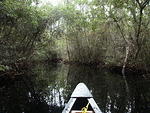 25 -New Years trip-Okefenokee