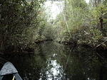 26 -New Years trip-Okefenokee