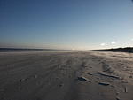 03 -New Years trip-Cumberland Island