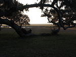 11 -New Years trip-Cumberland Island