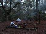 14 -New Years trip-Cumberland Island