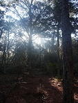 17 -New Years trip-Cumberland Island