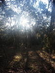 18 -New Years trip-Cumberland Island