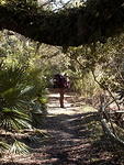 36 -New Years trip-Cumberland Island