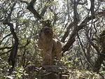 42 -New Years trip-Cumberland Island