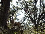 43 -New Years trip-Cumberland Island