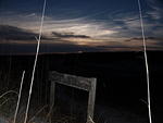 46 -New Years trip-Cumberland Island