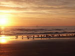 64 -New Years trip-Cumberland Island