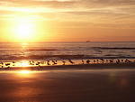 65 -New Years trip-Cumberland Island