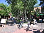 54-Colorado-Aspen
