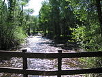 57-Colorado-Aspen