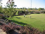 002-Glenwood Park-Community field
