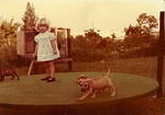 1978c-Melissa with dogs