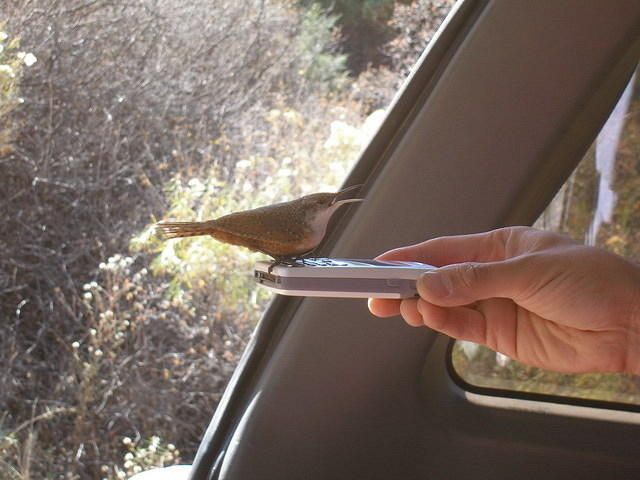 2007-10-27 Taos hike 015