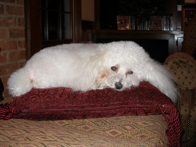 2007-11-22 Thanksgiving-ATL 10