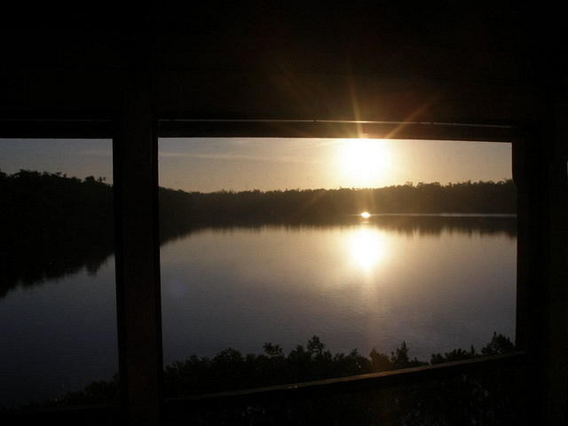 2007-11-29 FLA - Everglades City-Shark Valley Park 23