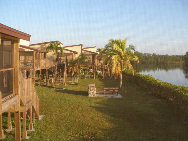 2007-11-29 FLA - Everglades City-Shark Valley Park 26