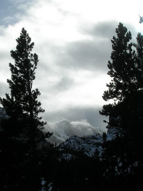2008-01-27 Lyons and Rocky Mtn Park 36
