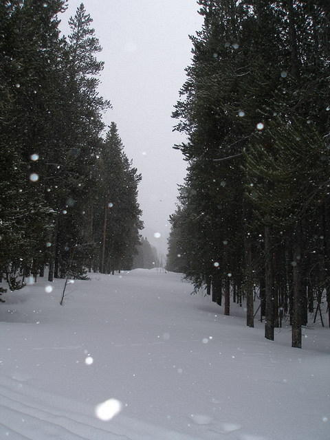 2008-02-23 Leadville  Snowshoe 25