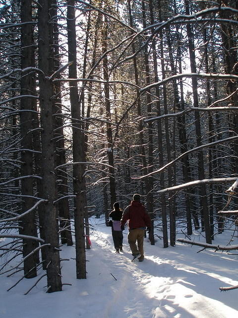 2008-03-12 Hut trip 39