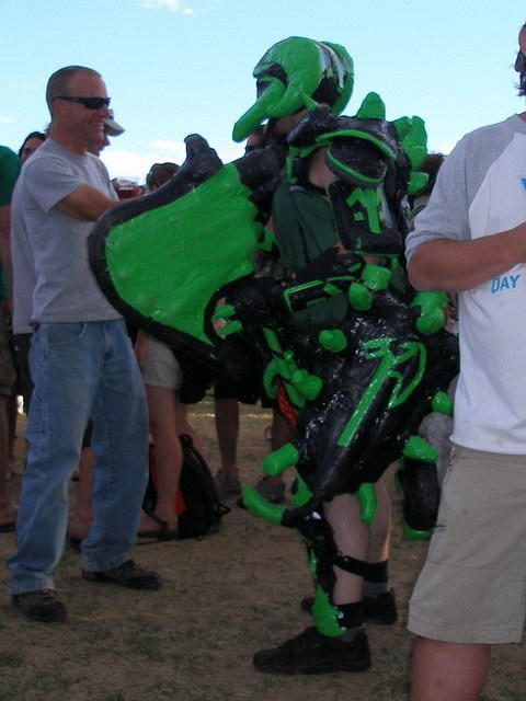 2008-06-14 FIBArk 96