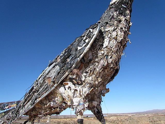 2011-12-26 Las Cruces NM 022