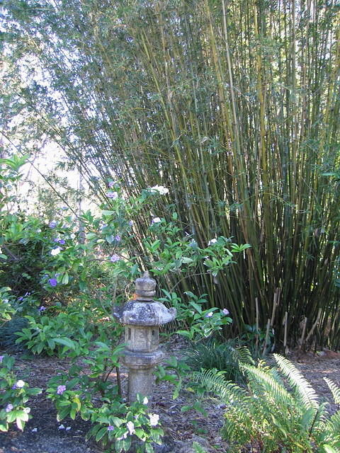 2005-12-27 Boca Raton- Japanese Gardens 12
