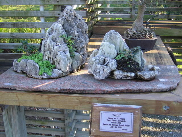 2005-12-27 Boca Raton- Japanese Gardens 16