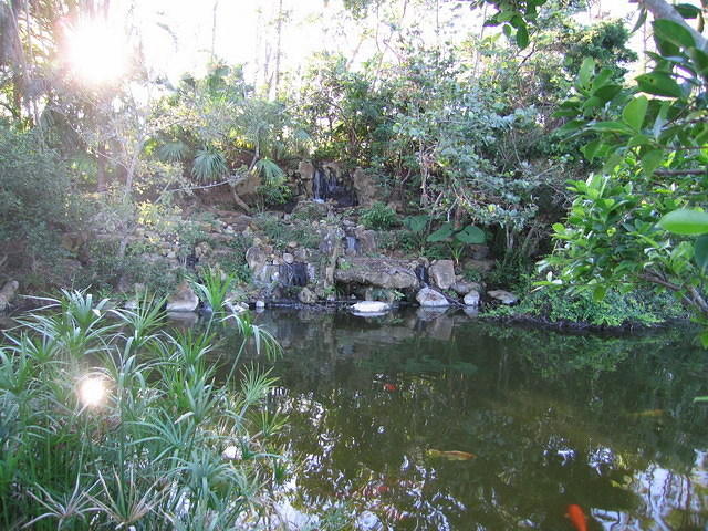 2005-12-27 Boca Raton- Japanese Gardens 20