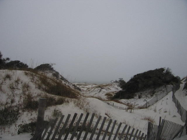 2006-01-01 St Joe Peninsula SP and Seaside 02