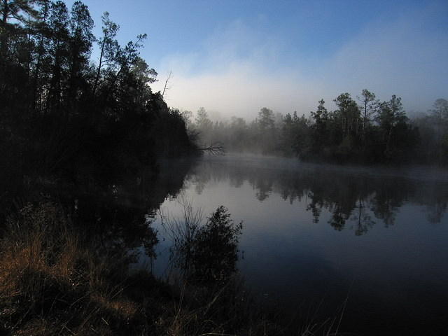 2006-01-03 Blackwater River SP 05