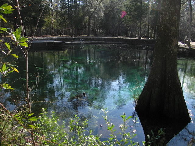 2006-01-06 Ponce De Leon Springs SP 04
