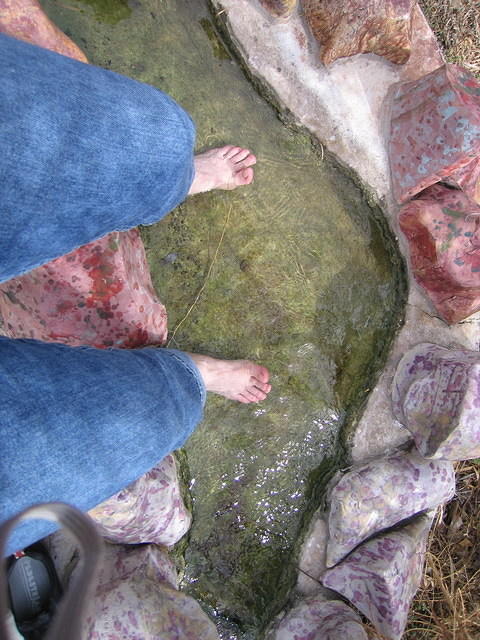 2006-02-25 T or C- Elephant Butte 11