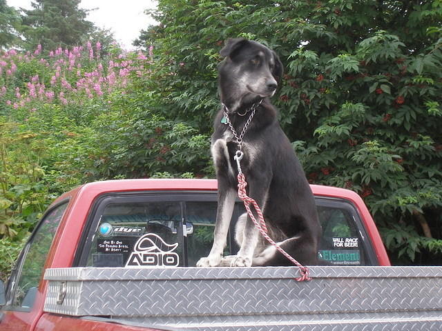 2006-08-11 Sitka, AK 64