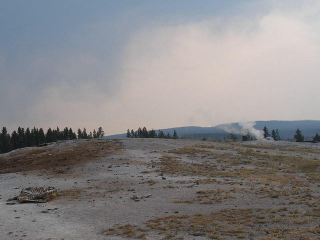 2006-09-04 Yellowstone National Park, Wyoming 097