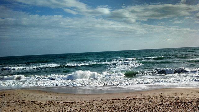 2013-01-25 Florida trip 026