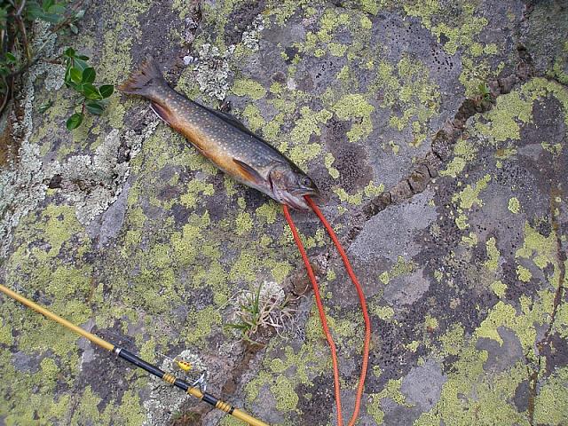 2013-06-22 Powderhorn Wilderness 012