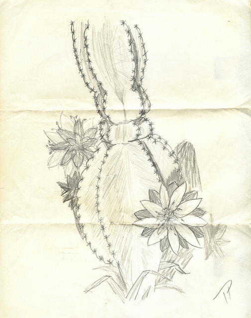 1976c-Drawing by Teresa