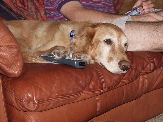 2004-Momo's 96th-Chipper remote