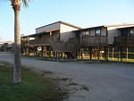 2007-11-29 FLA - Everglades City-Shark Valley Park 34