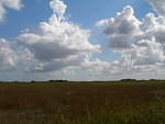 2007-11-29 FLA - Everglades City-Shark Valley Park 67